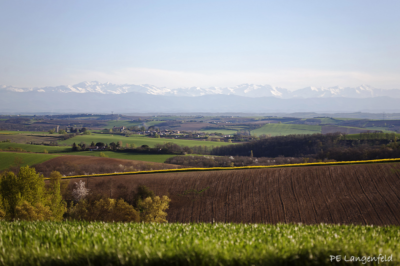 In the end, Pyrenees